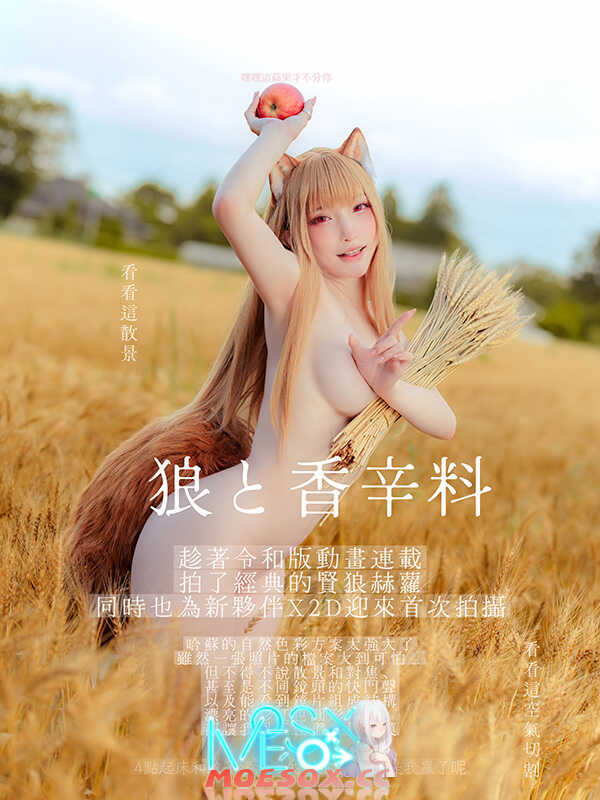 Fantasy Factory 小丁 – 赫萝 狼与香辛料 (28P/335M)[百度云/K盘]