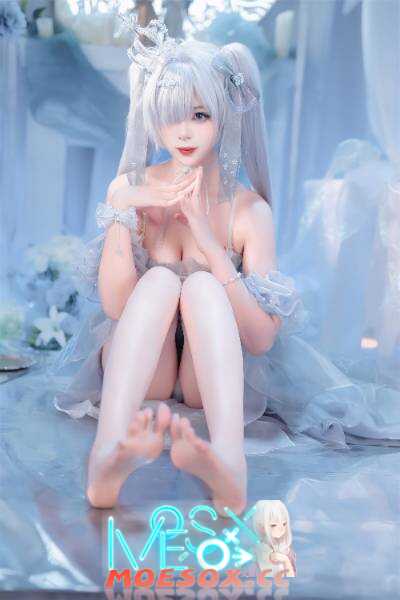 轩萧学姐 - Nikke胜利女神 灰姑娘·水晶公主 [40P 310M][百度云/K盘]