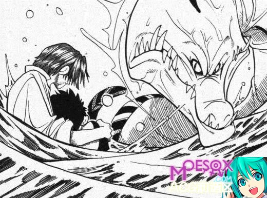 海贼王,火影忍者,海贼王漫画