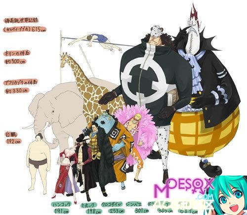 海贼王,火影忍者,海贼王漫画