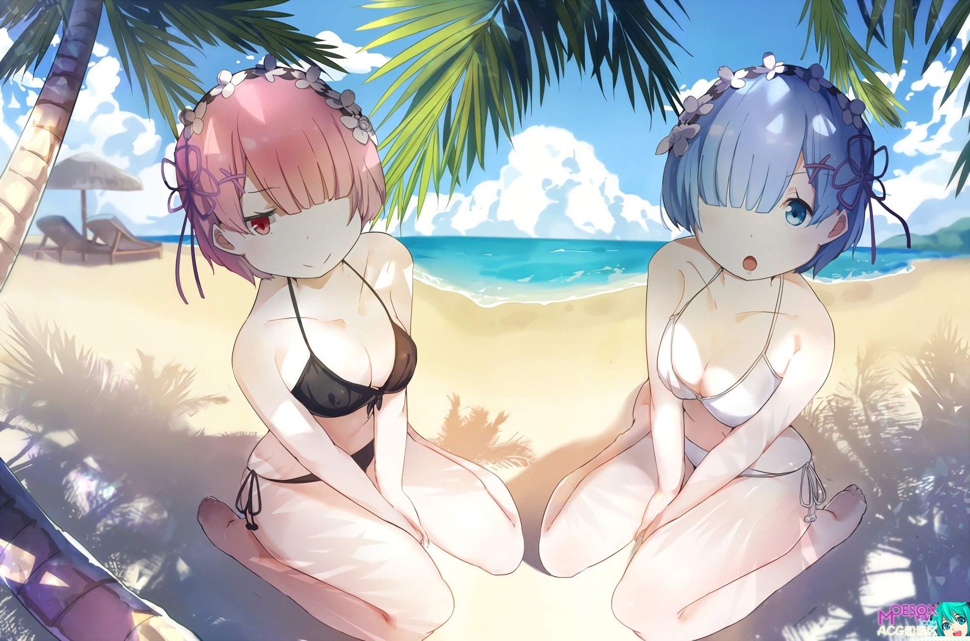 Re：从零开始的异世界生活,雷姆,拉姆,双胞胎,异世界,从零开始的异世界高清电脑壁纸