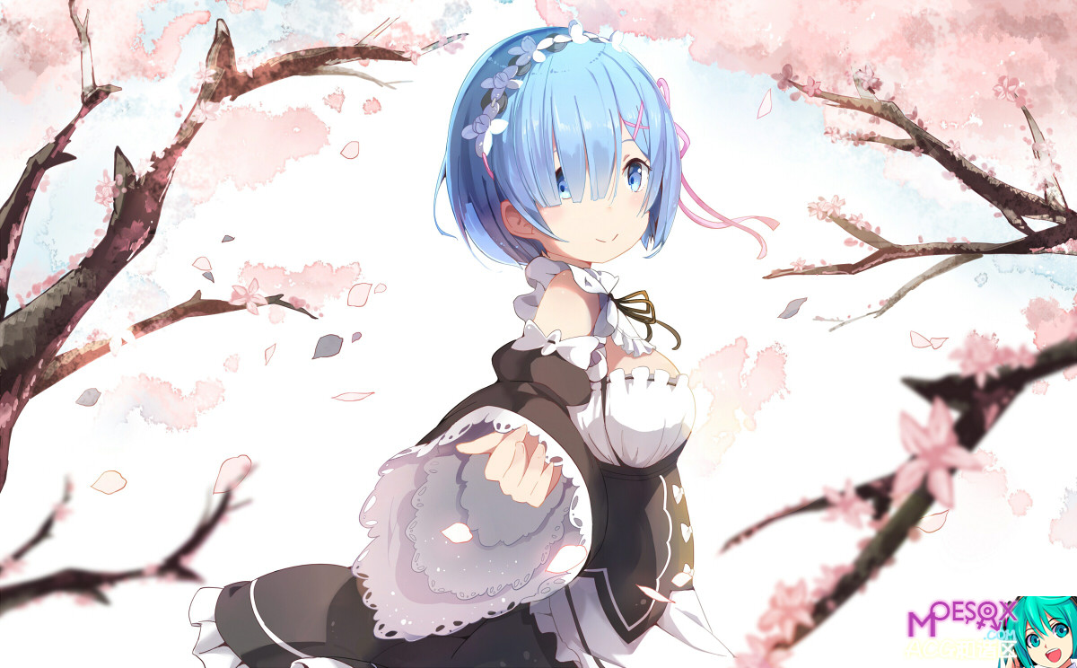 Re：从零开始的异世界生活,雷姆,拉姆,双胞胎,异世界,从零开始的异世界高清电脑壁纸