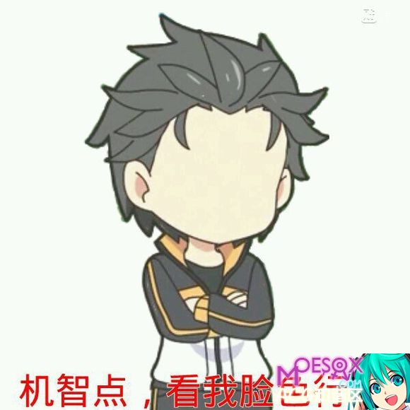 从零开始异世界生活,蕾姆,双子,表情包,re0