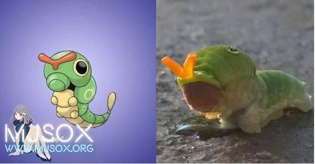 神奇精灵在哪里 《宝可梦》精灵原型公开