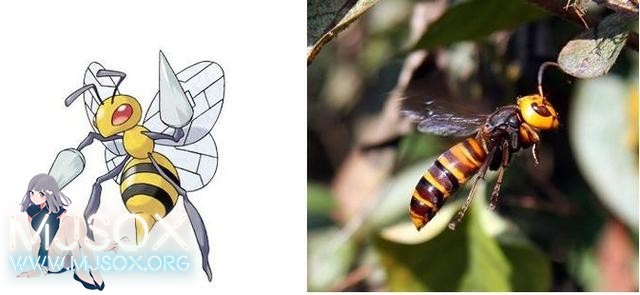 神奇精灵在哪里 《宝可梦》精灵原型公开