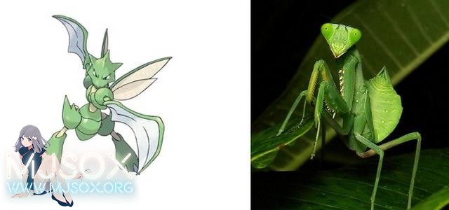 神奇精灵在哪里 《宝可梦》精灵原型公开