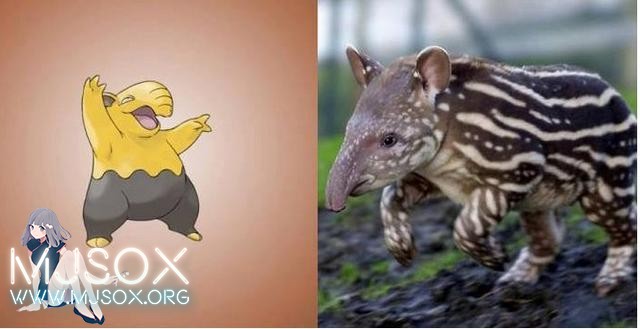 神奇精灵在哪里 《宝可梦》精灵原型公开