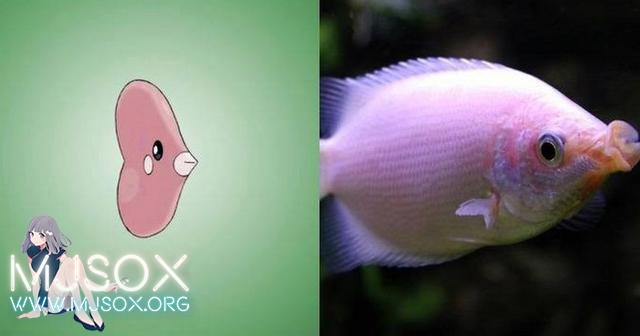 神奇精灵在哪里 《宝可梦》精灵原型公开