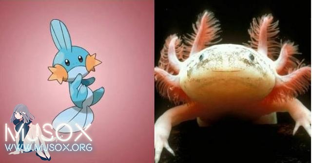 神奇精灵在哪里 《宝可梦》精灵原型公开