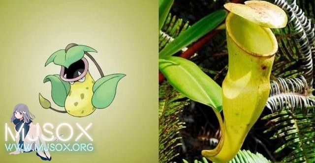 神奇精灵在哪里 《宝可梦》精灵原型公开