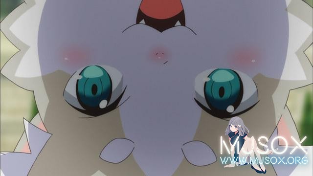 你是三次元帕克吗？日网友晒自家猫“成精”照片